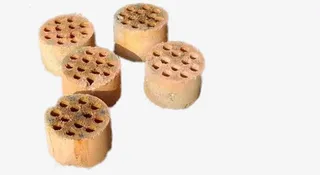 烧掉的煤炭免抠