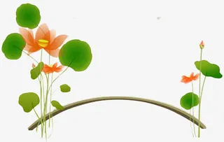 荷花桥免抠