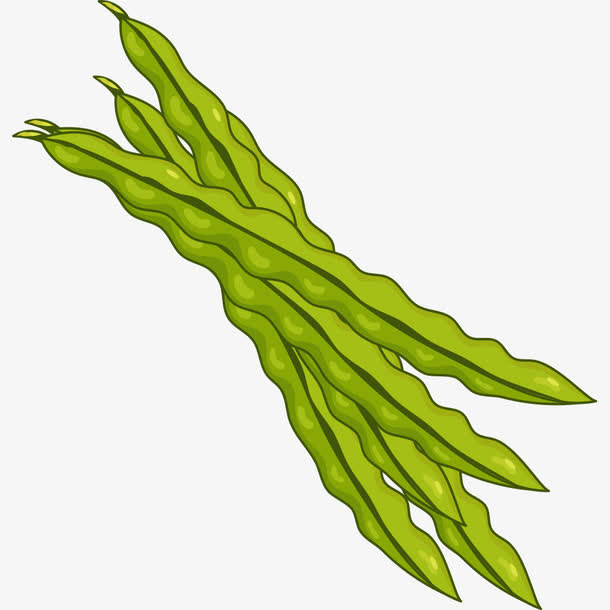 绿色豆角免抠