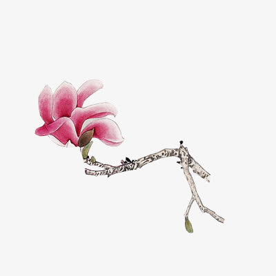 水彩树枝花朵免抠