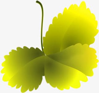 绿色渐变创意树叶春天手绘免抠