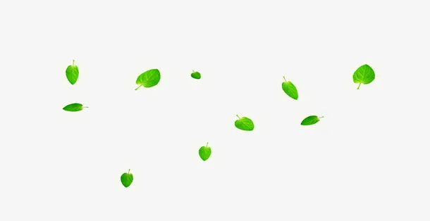 漂浮绿叶免抠