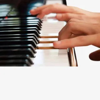 弹钢琴的手艺术摄影免抠