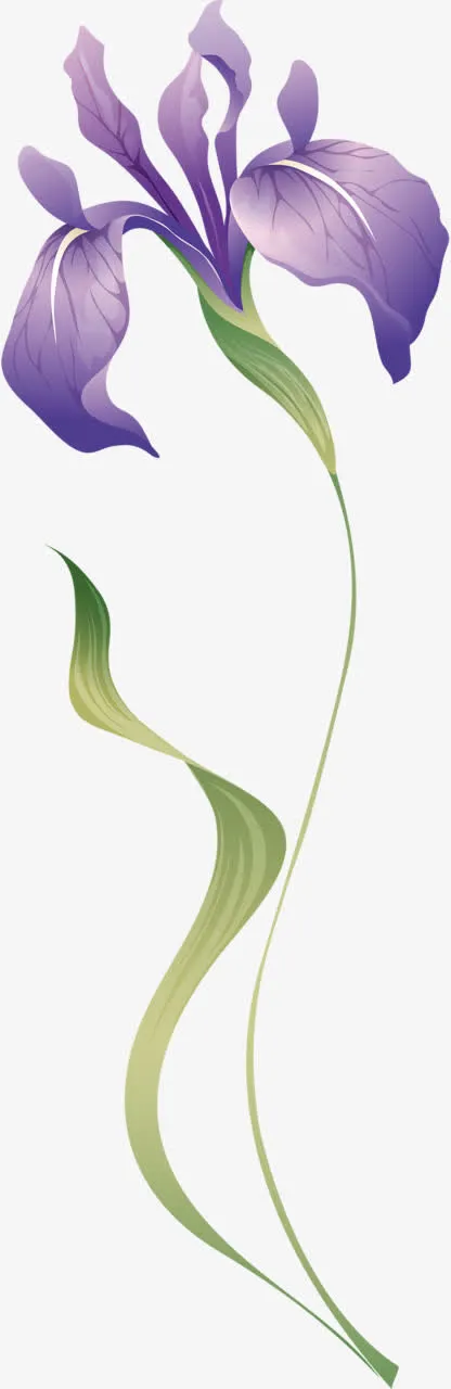 手绘紫色兰花免抠