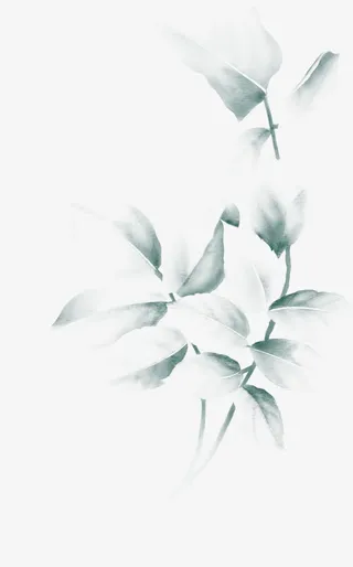 白色元旦新年贺卡花朵免抠