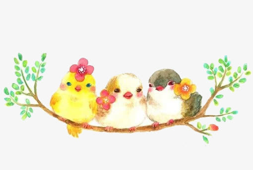 枝头小鸟免抠