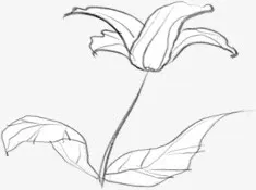 黑色开放花朵创意免抠