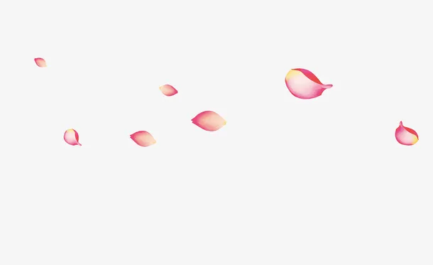 漂浮花瓣免抠