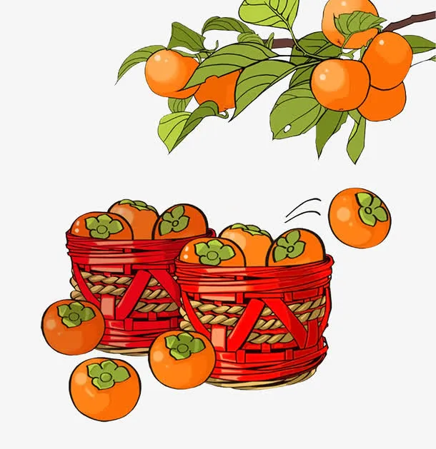 柿子树下柿子筐免抠