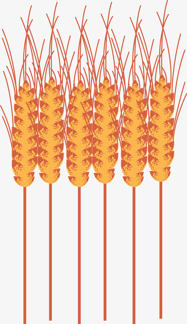 农作物小麦矢量图免抠