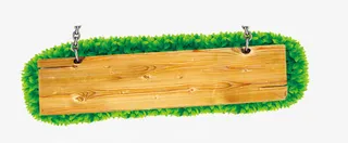 绿色文字标签免抠