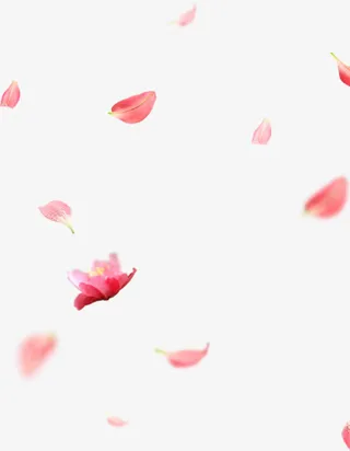 纷飞红色漂浮花瓣免抠