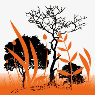 橙色的自然背景季节