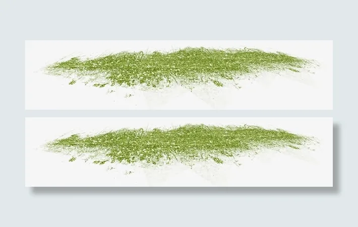 青苔植物高清唯美免扣素材模板免抠