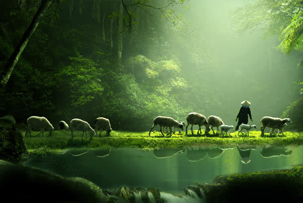 牛羊绿色大自然清新背景