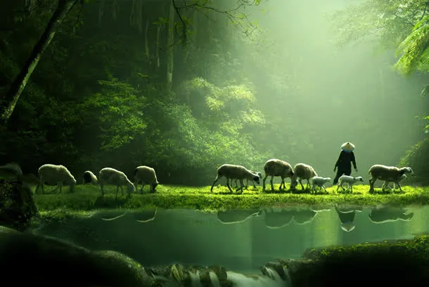 牛羊绿色大自然清新背景
