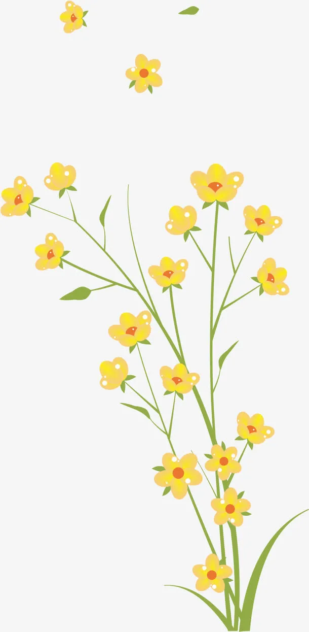 手绘花朵免抠