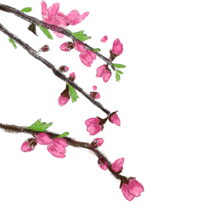 古风手绘桃花树枝高清