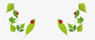 卡通春季绿叶矢量素材免抠