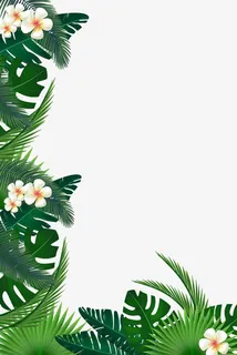 花草边框小清新背景免抠