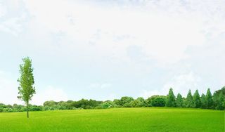 天空草地免抠背景卡通/手绘元素