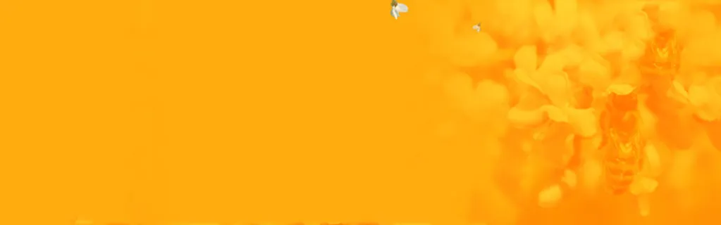 黄色淘宝背景图黄色高清