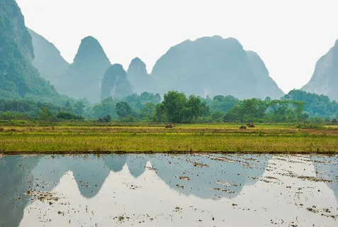 桂林农田免抠