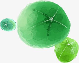 绿色水墨花朵夏日免抠