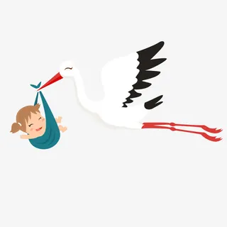 矢量仙鹤送子免抠