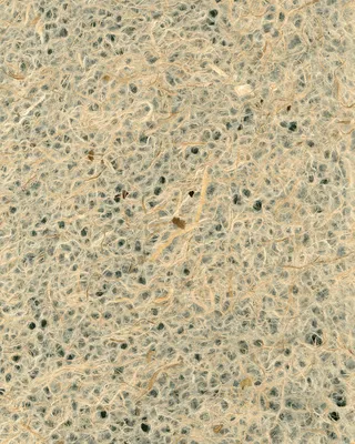 欧式花点线条大理石图案免抠