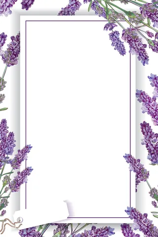 小清新春天薰衣草紫色背景高清