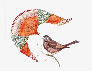 文艺虫鸟图案免抠