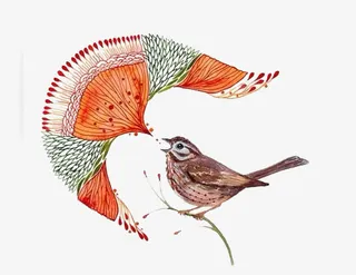 文艺虫鸟图案免抠