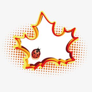 矢量价格展示底纹免抠