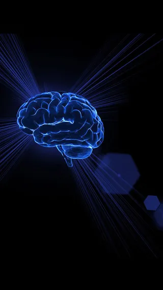 大脑科技感商务H5背景素材高清