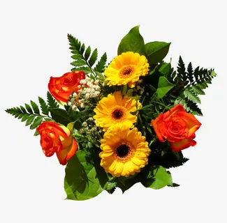 鲜花免抠素材免抠