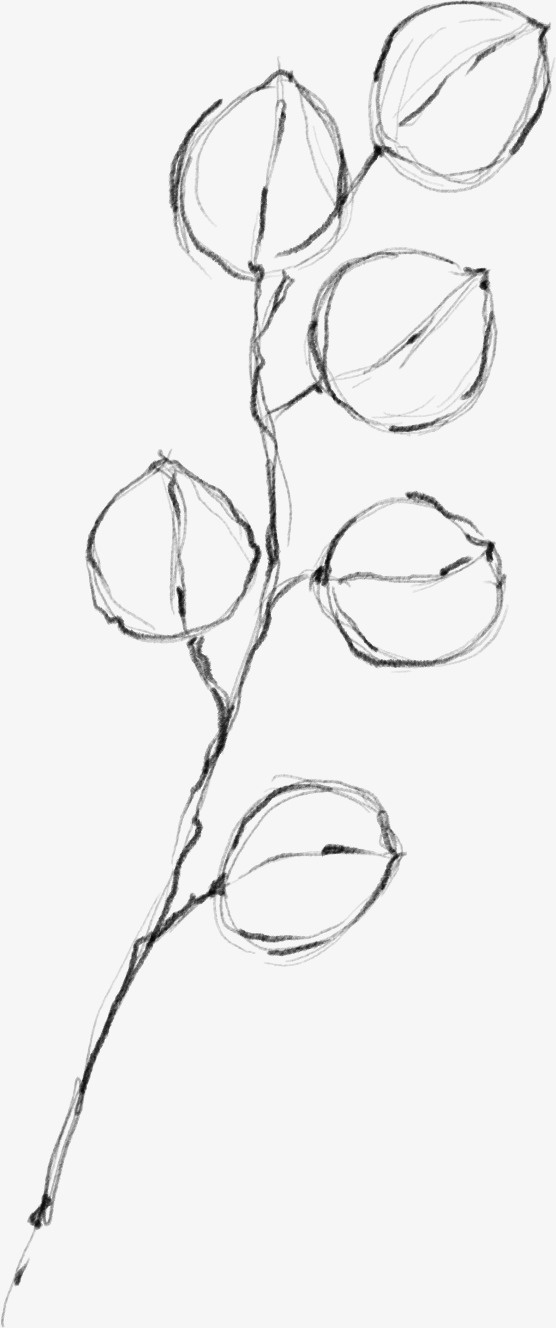 水墨花朵元素29免抠