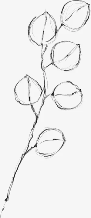 水墨花朵元素29免抠