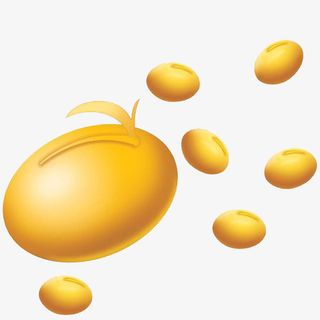 多颗黄豆手绘免抠