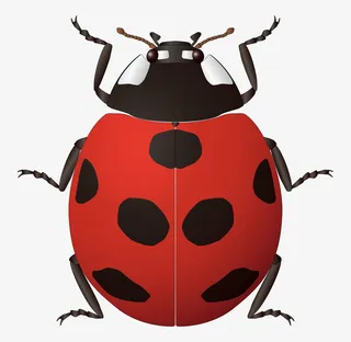 卡通瓢虫图片免抠装饰动物元素