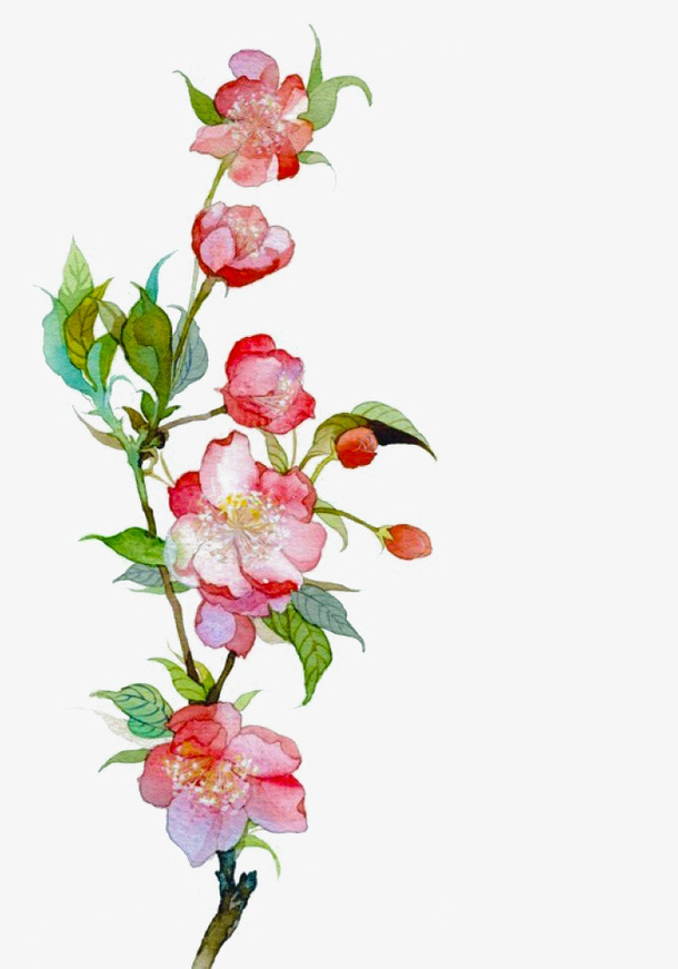 一枝桃花免抠