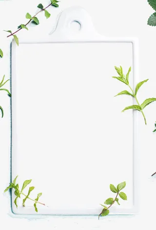 白色清新树枝边框免抠