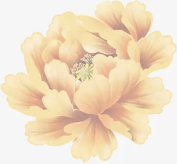 春天黄色古风花朵装饰免抠