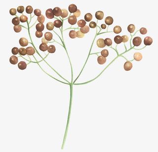 卡通绿叶装饰素材免抠