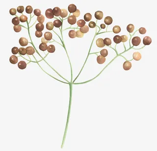 卡通绿叶装饰素材免抠