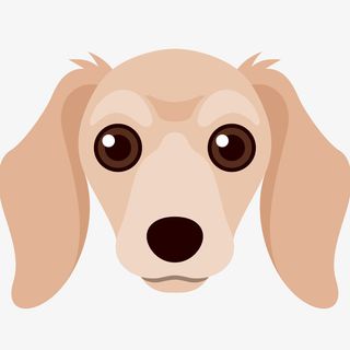 一只可爱的小狗头像免抠