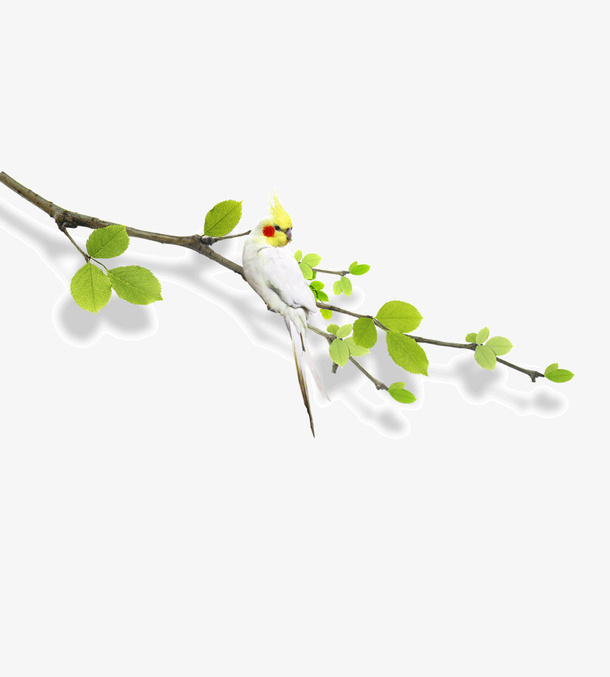 春天素材免抠
