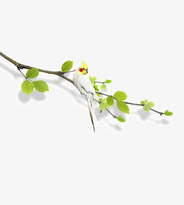 春天素材免抠