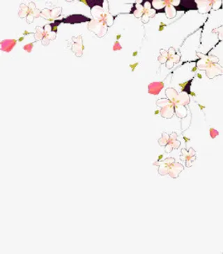 可爱白花树枝图免抠