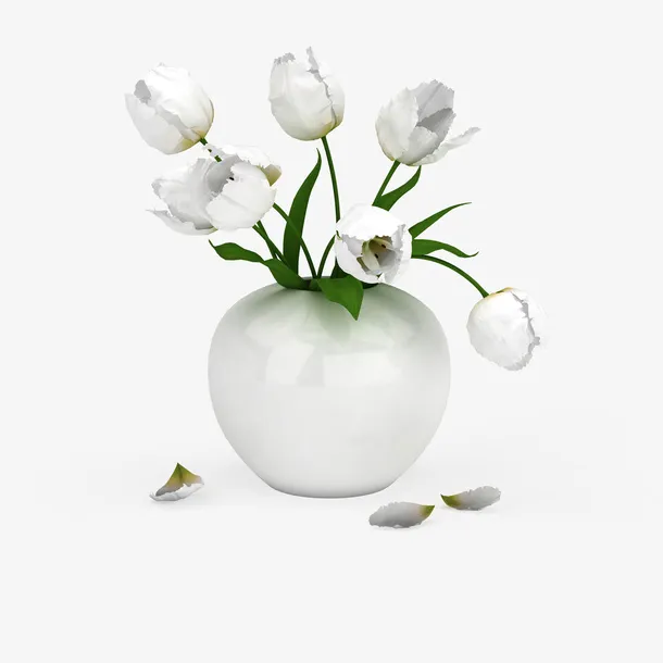白色鲜花束免抠